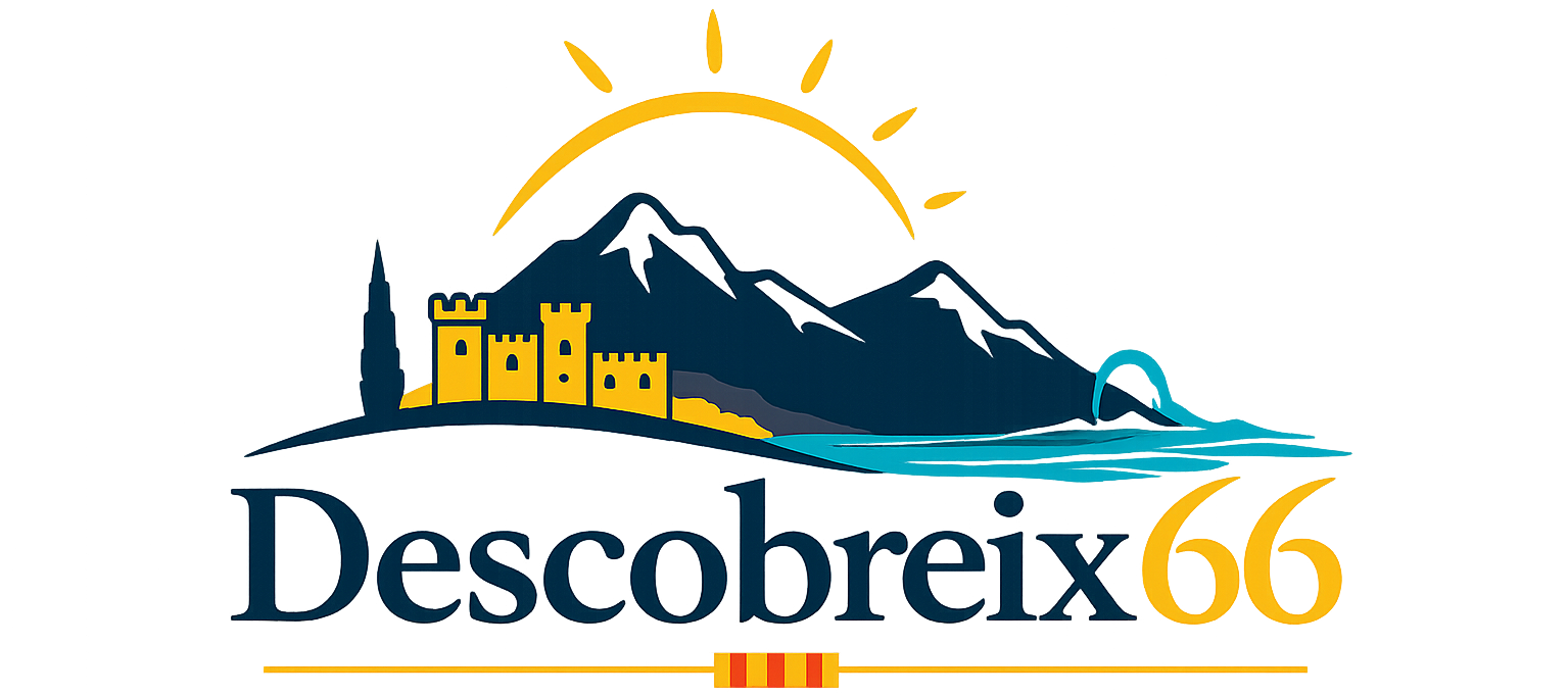 descobreix66