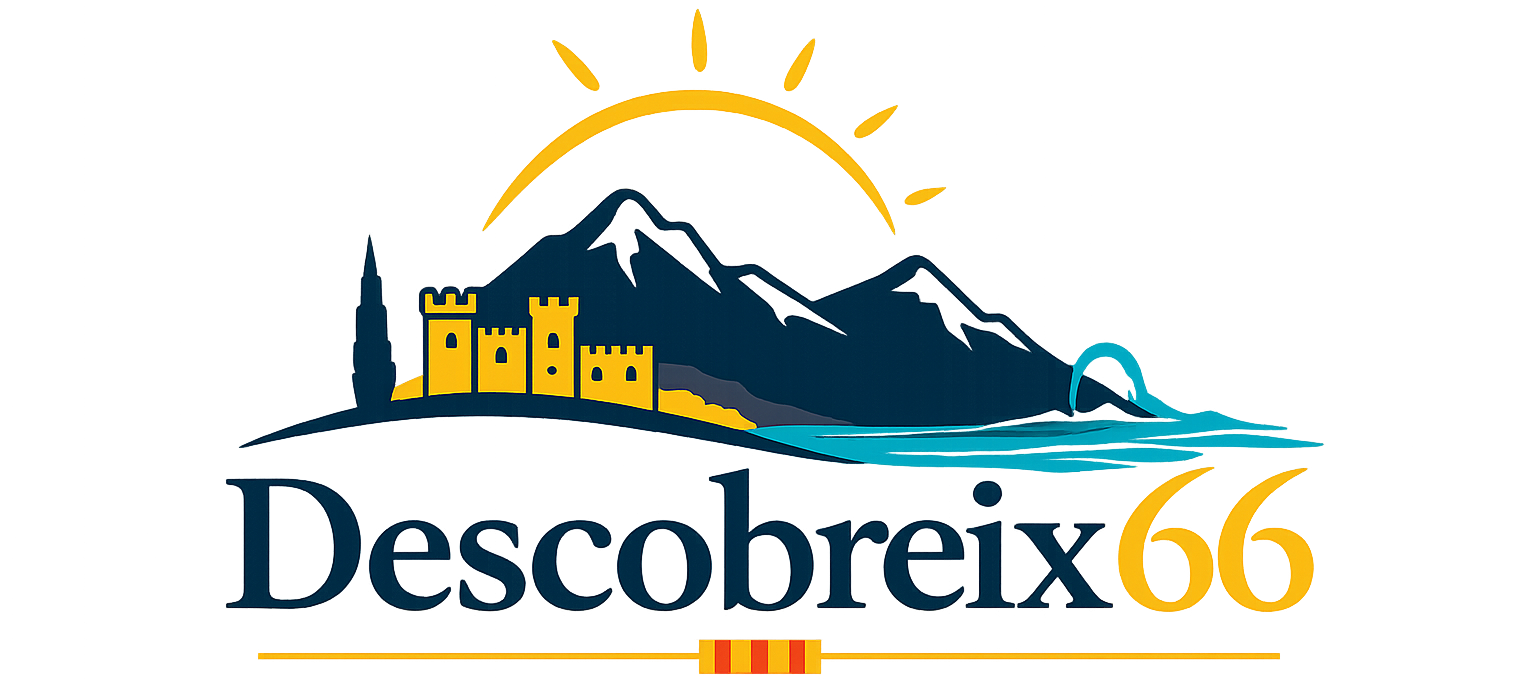 descobreix66
